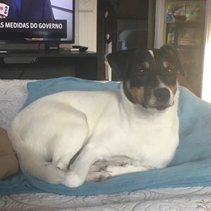 Meet your Posher, Ilka